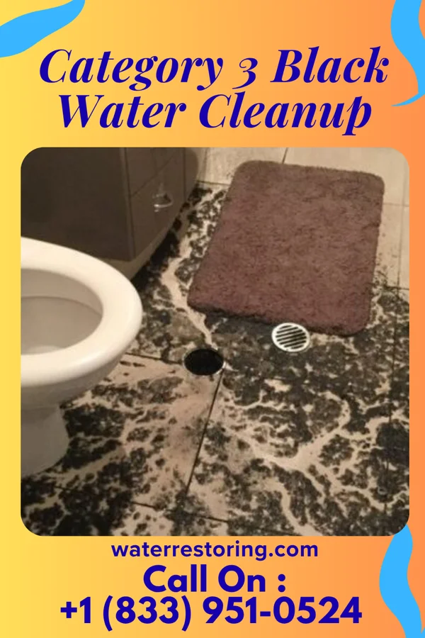 Category 3 Black Water Cleanup in Santa Clara, NM