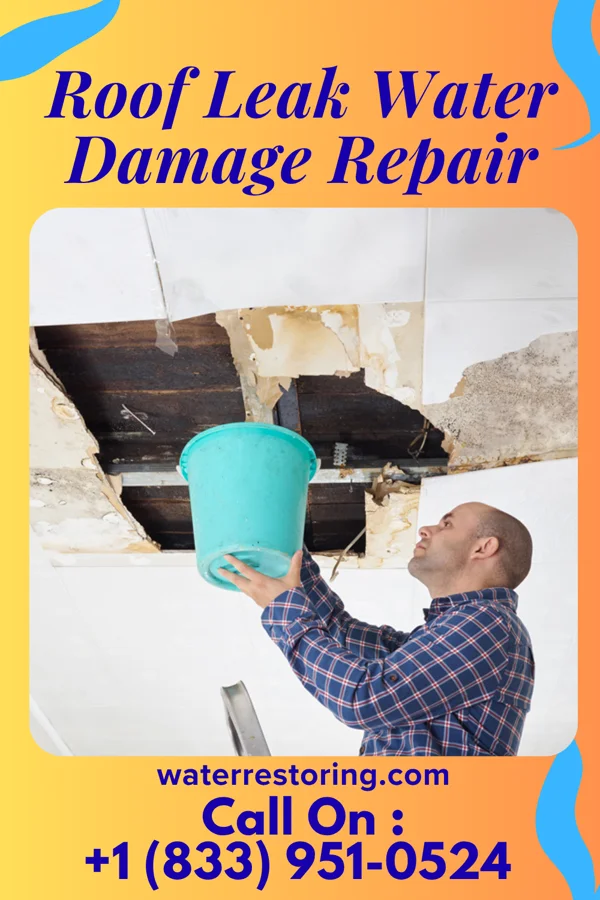 Roof Leak Water Damage Repair in Santa Clara, NM